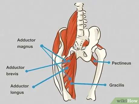 Rawat Cedera Groin Langkah 10