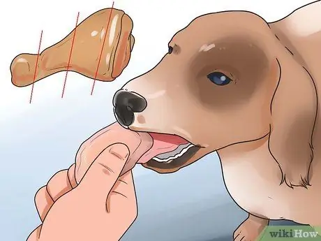 Treat Dog Diarrhea Step 5