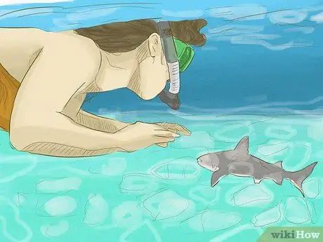 Avoid Sharks Step 10