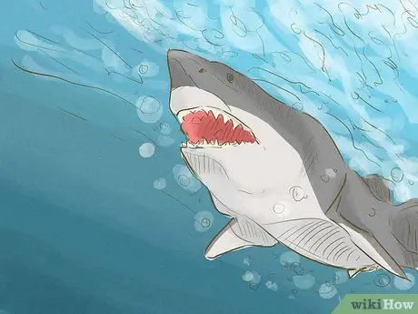 Avoid Sharks Step 11