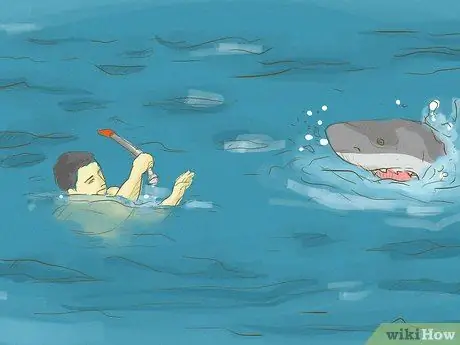 Avoid Sharks Step 12