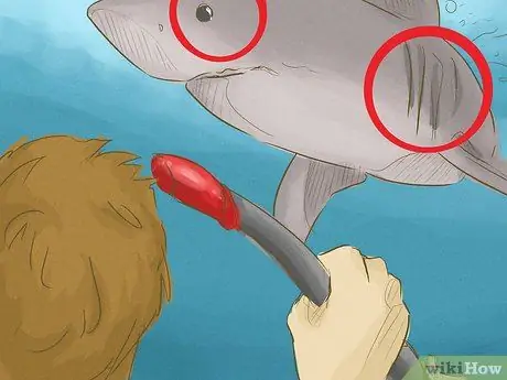 Avoid Sharks Step 13