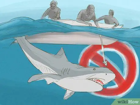 Avoid Sharks Step 15