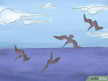 Avoid Sharks Step 4