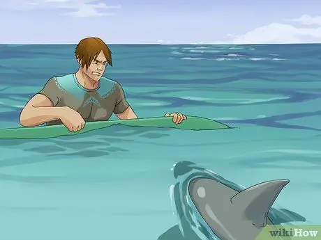 Avoid Sharks While Surfing Step 12