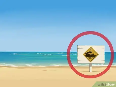 Avoid Sharks While Surfing Step 2