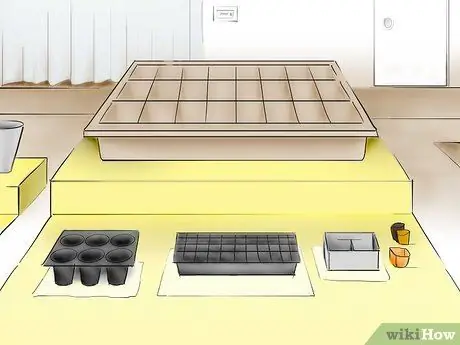 Plant Tomatoes from Seed Step 16