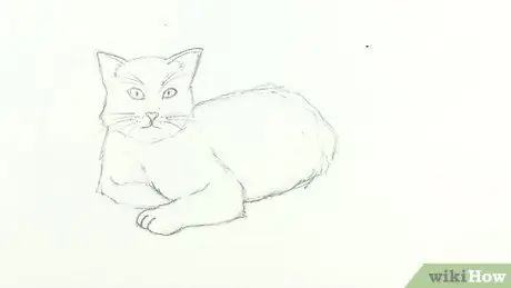 Dessiner un chat Étape 20