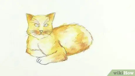 Draw a Cat Step 21