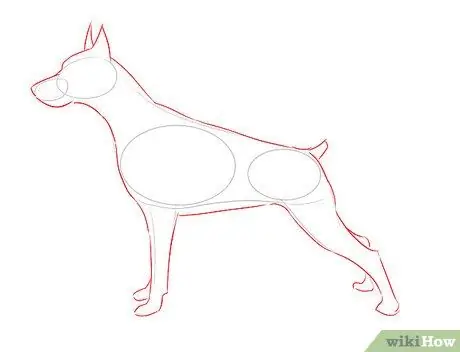 Disegna un cane realistico Passaggio 3