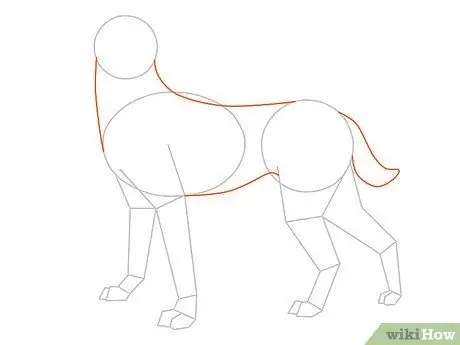 Disegna un cane Passaggio 10