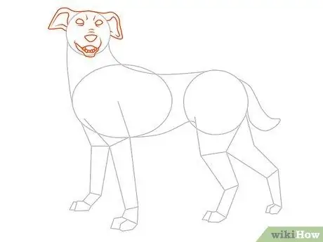 Disegna un cane Passaggio 11