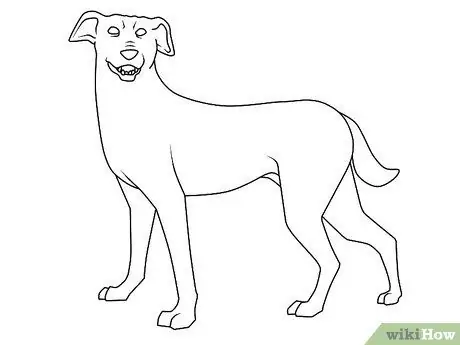 Disegna un cane Passaggio 12