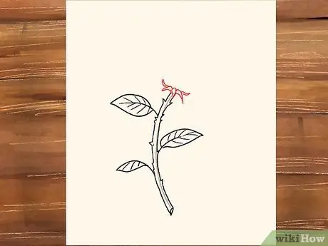 Draw a Rose Step 24