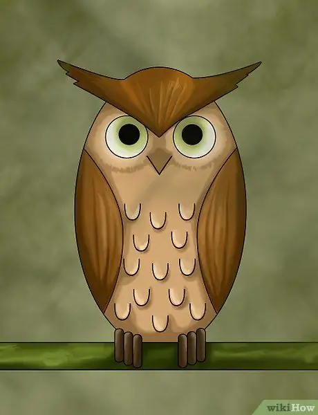 Desenați o Introducere Owl