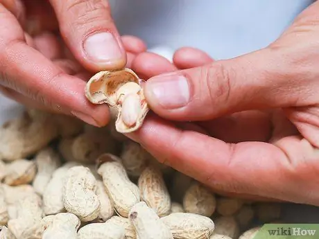 Kauj Ruam Peanuts Kauj Ruam 7