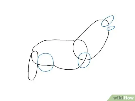 Draw a Wolf Step 11