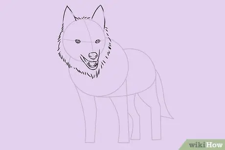 Draw a Wolf Step 15