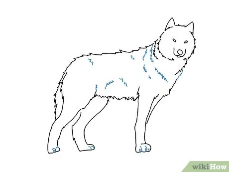 Draw a Wolf Step 7