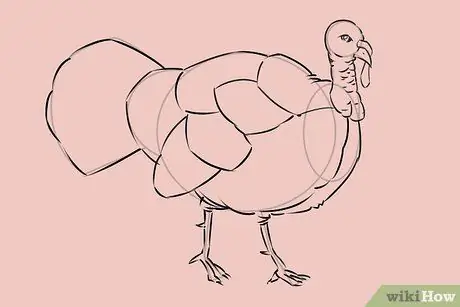 Draw a Turkey Step 20