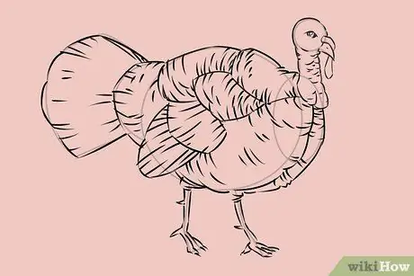 Draw a Turkey Step 21