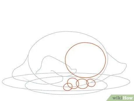 Draw a Turkey Step 13