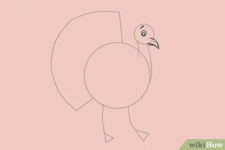 Draw a Turkey Step 5