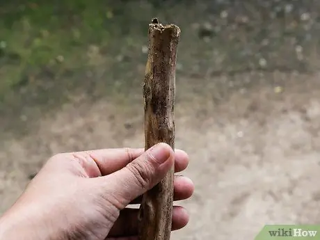 Make a Walking Stick Step 1