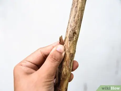 Make a Walking Stick Step 3