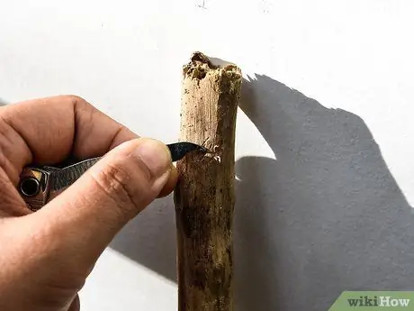 Make a Walking Stick Step 5