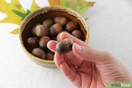 Dry Acorns for Crafts Step 6