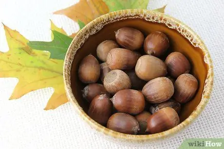 Dry Acorns for Crafts Step 7