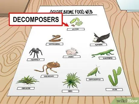 Disegna una rete alimentare Passaggio 10