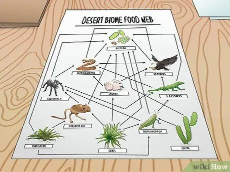 Disegna una rete alimentare Passaggio 11