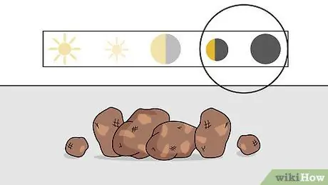 Cultivar papas Paso 13