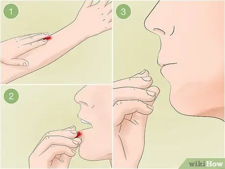 Identify Common Poisonous Berries in North America Step 4