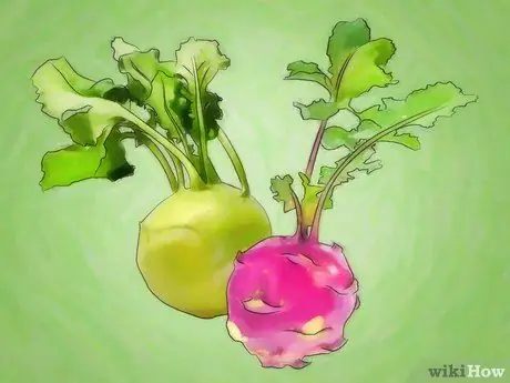 A Kohlrabi termesztése 1. lépés