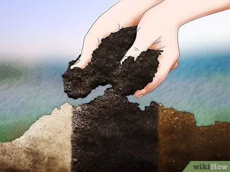 Adjust Soil pH Step 1