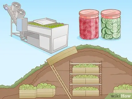 Cultive Sua Própria Alimentação - Etapa 15