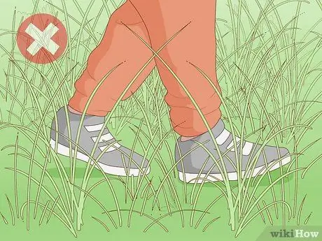 Get Rid of Chiggers Step 16