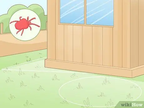 Get Rid of Chiggers Step 3