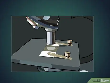 Use a Microscope Step 10