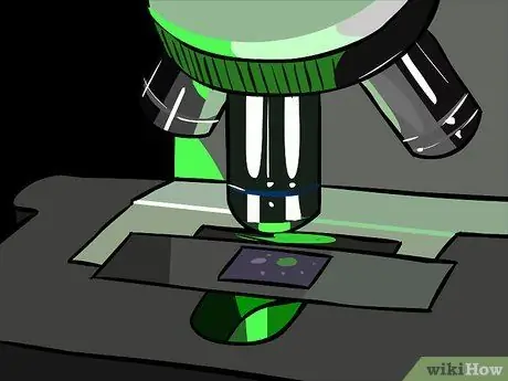 Use a Microscope Step 11