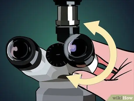 Use a Microscope Step 12