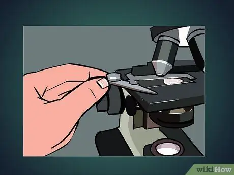 Utiliser un microscope Étape 15