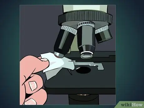 Use a Microscope Step 20