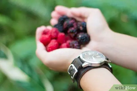 Distinguer les framboises et les mûres Étape 3