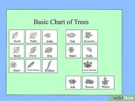 Identifier les arbres Étape 10