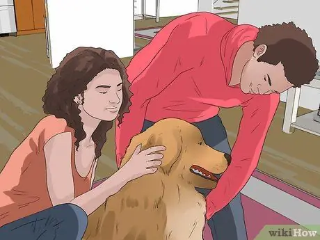 Pick up a Dog Properly Step 1