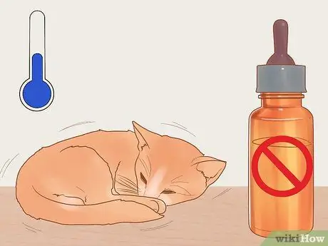 Take Care of Kittens Step 16